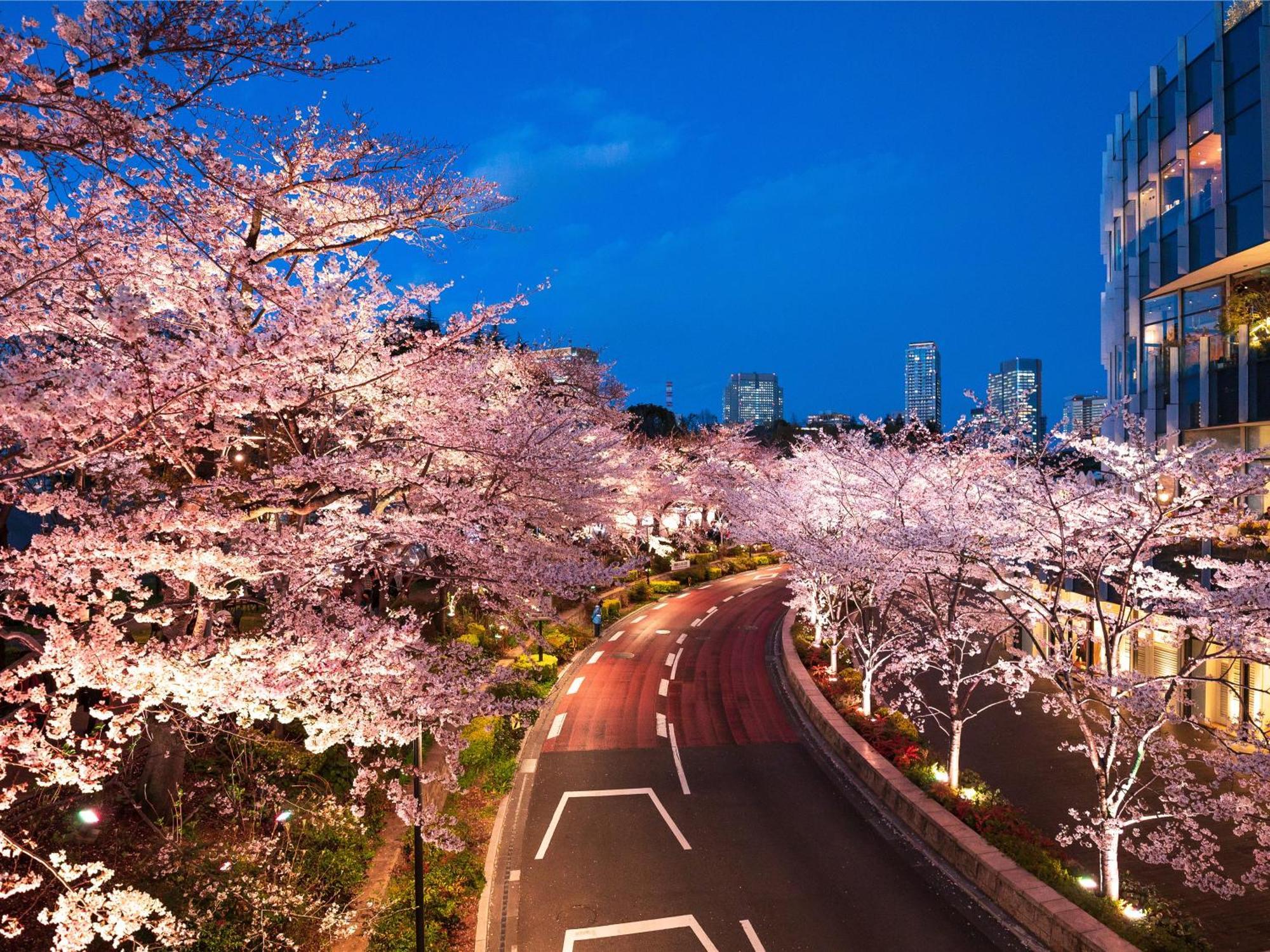 Hotel Mimaru Tokyo Akasaka Exteriér fotografie